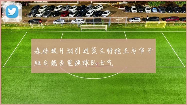 森林狼计划引进莫兰特枪王与华子组合能否重振球队士气